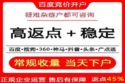 网络推广竞价策略解析与应用案例